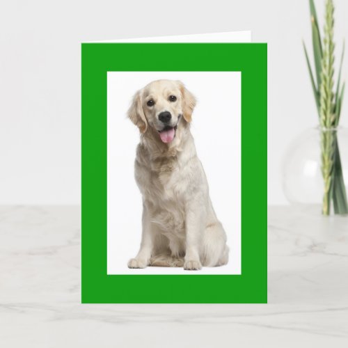 Hello Golden Retriever Puppy Dog Greeting Card