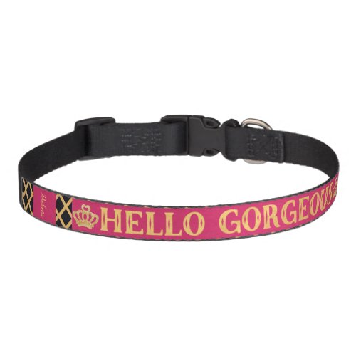 Hello Gorgeous Pet Collar