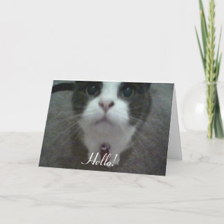 "Hello!" Greeting Card