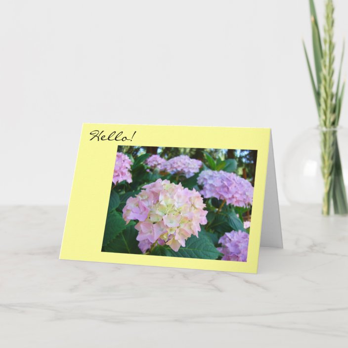 Hello Greeting Cards Hope All Is Well You Family Zazzle Com