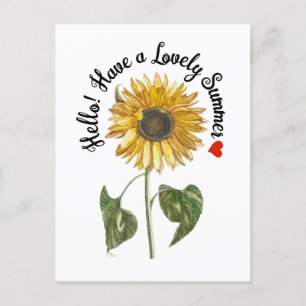 Hello! Have a Lovely Summer - Vintage Sunflower  Postcard