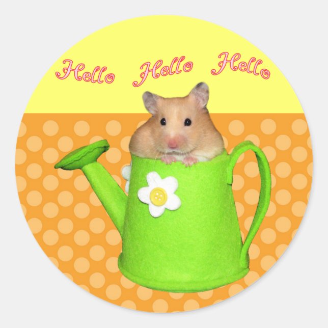 Hello hello hamster classic round sticker (Front)