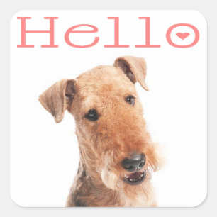 Hello / Hi  Airedale Puppy Dog  Sticker / Label