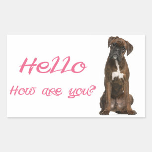 Hello / Hi  Boxer Puppy Dog Greeting Sticker