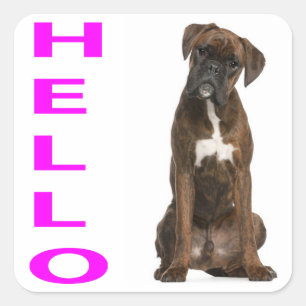 Hello / Hi Boxer Puppy Dog PurpleGreeting Sticker