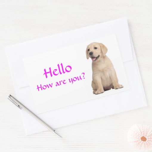 Hello / Hi Labrador Retriever Puppy Dog Stickers | Zazzle
