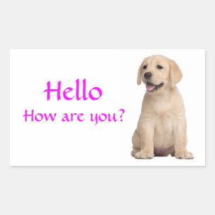 Hello / Hi Labrador Retriever Puppy Dog Stickers