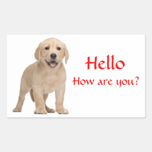 Hello / Hi  Labrador Retriever Puppy Dog Stickers