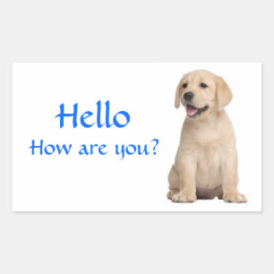 Hello / Hi  Labrador Retriever Puppy Dog Stickers