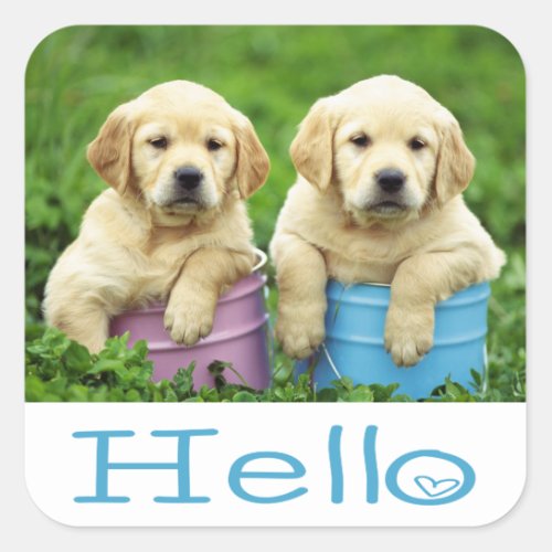 Hello  Hi  Labrador Retriever Puppy Dog Stickers