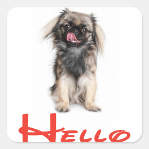 Hello / Hi Pekingese Puppy Dog Greeting Sticker