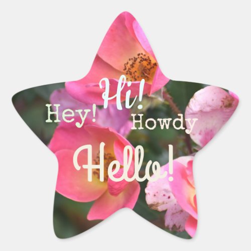 Hello Howdy Hi Flower Star Sticker