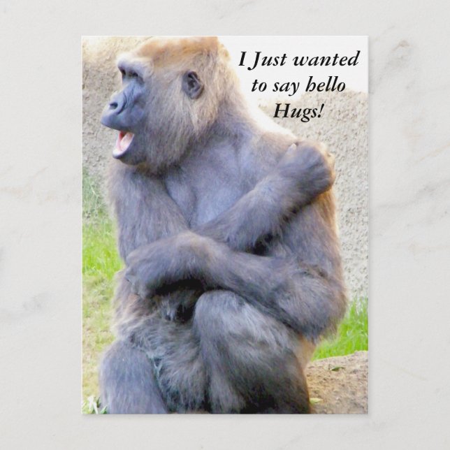 Hello Hug_ Postcard (Front)