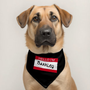Hello I Am Personalized Pet Bandana Collar