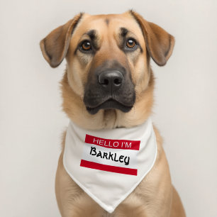 Hello I Am Personalized Pet Bandana Collar