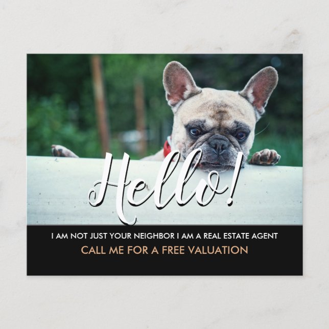 hello I'm not your neighbor real estate agent Fly Flyer (Front)