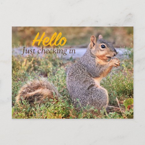 Hello Just Checking In Postcard