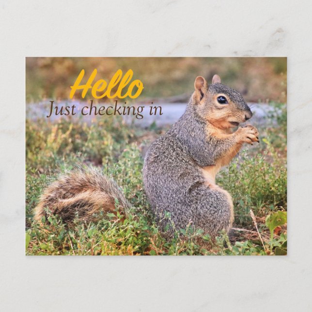Hello Just Checking In Postcard (Front)