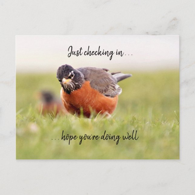 Hello--Just Checking In Postcard (Front)