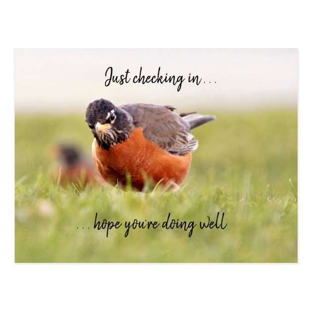 say hi just checking on you