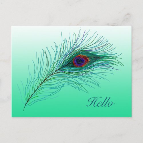 Hello Keeping in Touch Peacock Feathers Postcard