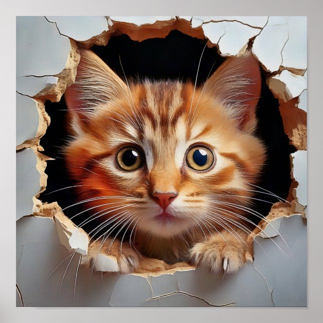 Hello Kitty Cat Poster (Front)