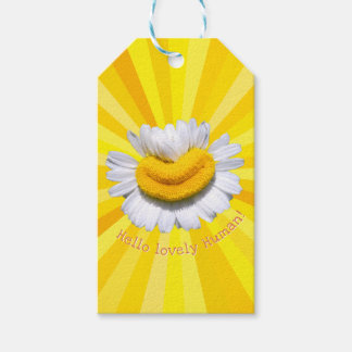 "Hello lovely Human!" Chamomile Smile Sunburst Gift Tags