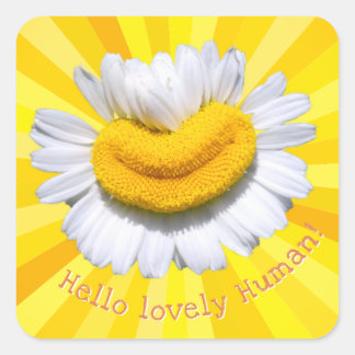 "Hello lovely Human!" Chamomile Smile Sunburst Square Sticker