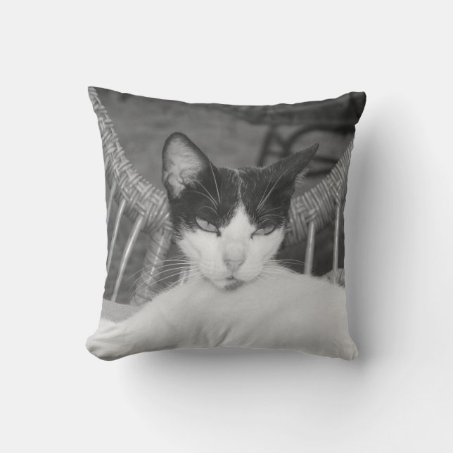 Hello, Meow... Throw Pillow (Front)