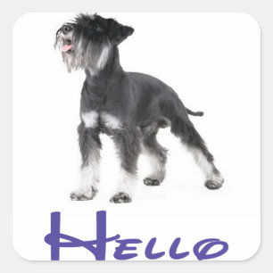 Hello Miniature Schnauzer Puppy Dog  Sticker