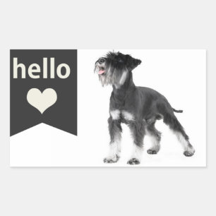 Hello Miniature Schnauzer Puppy Dog  Sticker