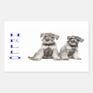 Hello Miniature Schnauzer Puppy Dog Sticker Label