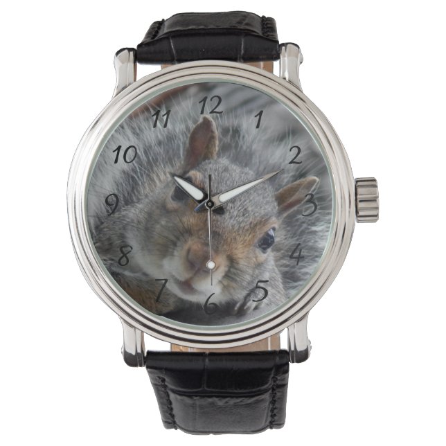 Hello Miss squirrel Watch (Front)