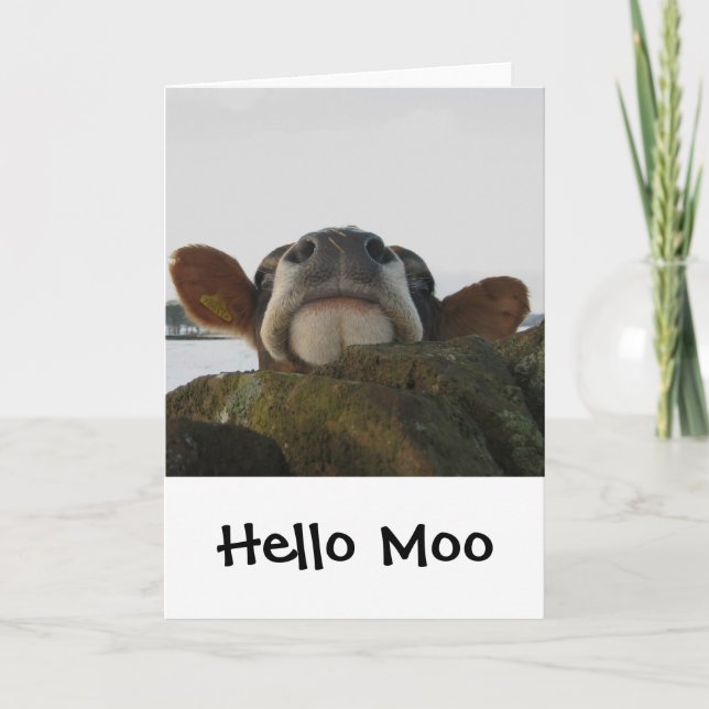 Hello Moo Card (Front)