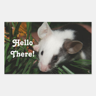 Hello Mouse Rectangular Sticker