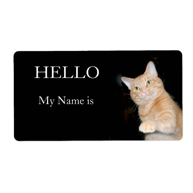Hello my name is....... label (Front)