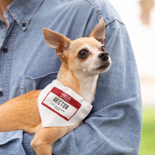 Hello My Name Is Pet Shaming Bandana  Collar