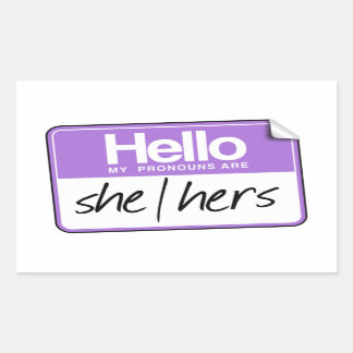 Hello my pronouns are: She Hers Rectangular Sticker