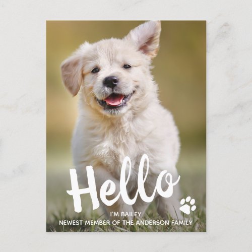 Hello New Pet Dog Puppy Shower Invitation - Hello...I'm Puppy, Newest member of the family ! Introduce your new little pup and host your puppy shower with this simple new pet announcement card for new dog's, and puppies.
Add your pup's favorite photo and personalize with pups name and family name ! Personalize the back with party date, location and details.
Whether a new puppy or an adopted rescue dog, this new pet announcement design is perfect to send to family and friends to welcome a new family pet. COPYRIGHT © 2020 Judy Burrows, Black Dog Art - All Rights Reserved. 
Hello New Pet Dog Puppy Shower Invitation