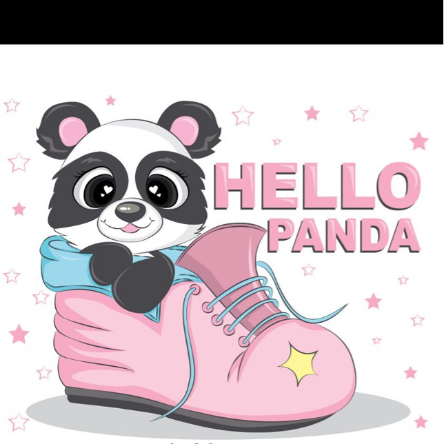 Hello Panda T-Shirt (Illustration of a cartoon panda bear sitting inside a pink shoe with blue trim and laces!)