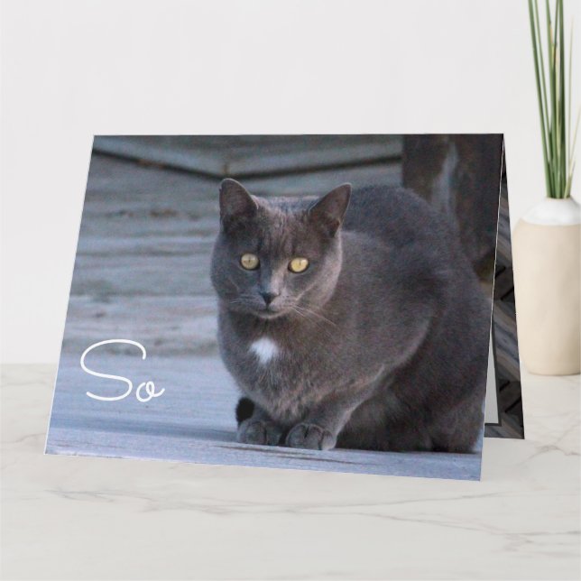 Hello Paper Note Card (Front)