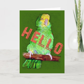 HELLO Parrot greeting card