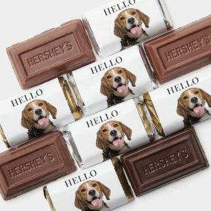Hello Personalized Beagle Dog Portrait Hershey's Miniatures