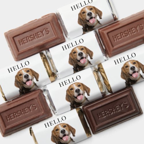 Hello Personalized Beagle Dog Portrait Hersheys Miniatures