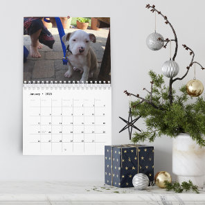 Hello Pet Puppy Custom Calendar