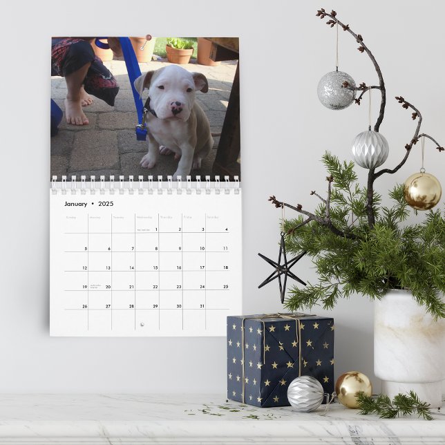 Hello Pet Puppy Custom Calendar (Hello Pet Puppy Custom Calendar)