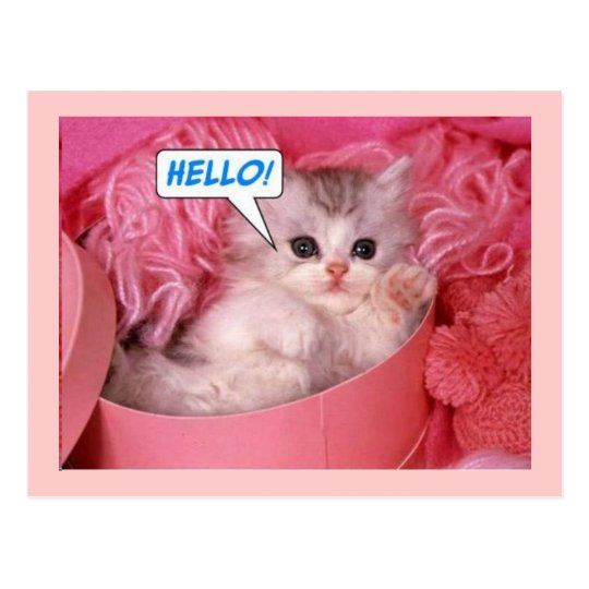 Hello Postcard | Zazzle.com