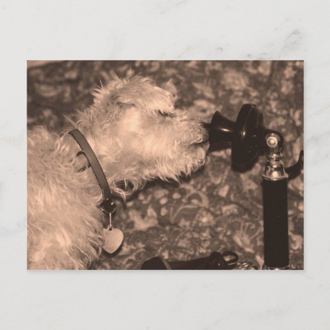 Hello Postcard (Front)