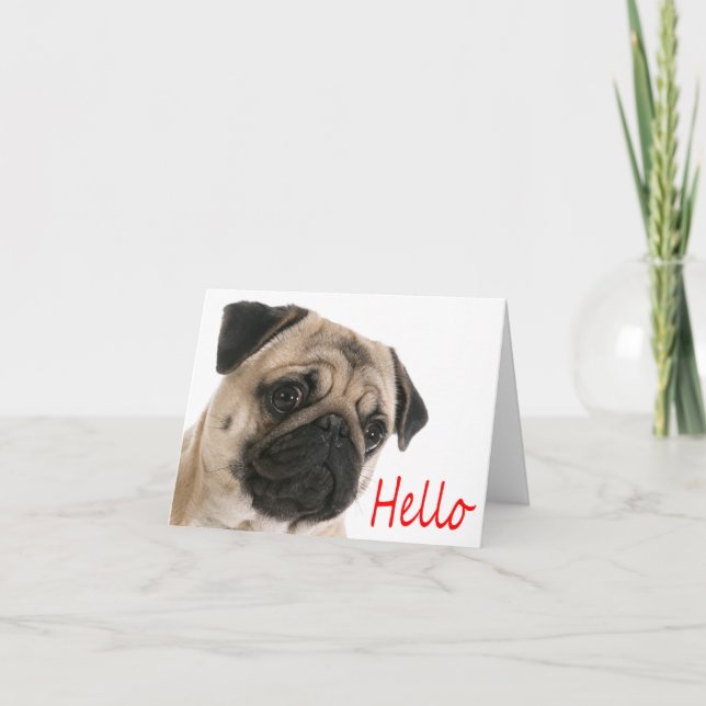 Hello Pug Puppy Dog Blank Note Card (Front)