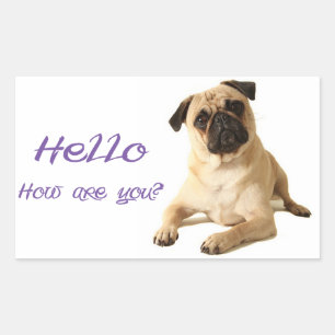 Hello Pug Puppy Dog Sticker / Label